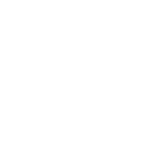 logo4 (1)