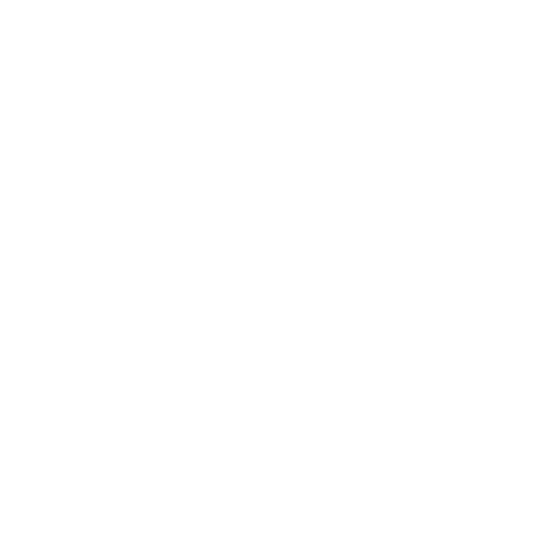 logo6 (1)